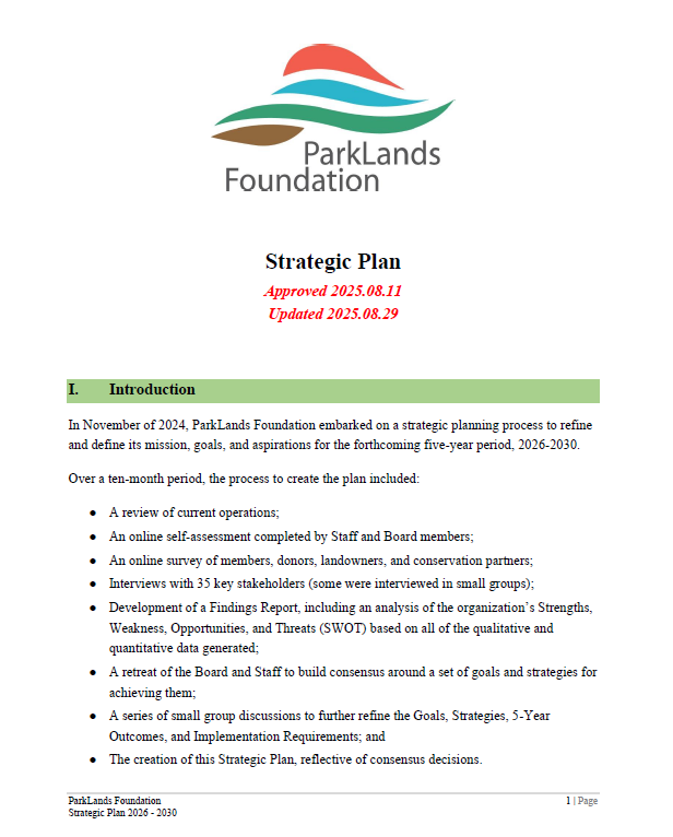 Strategic Plan front page snip